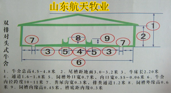 肉牛養(yǎng)殖場最新牛舍建設(shè)圖紙