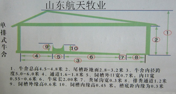 肉牛養(yǎng)殖場最新牛舍建設(shè)圖紙